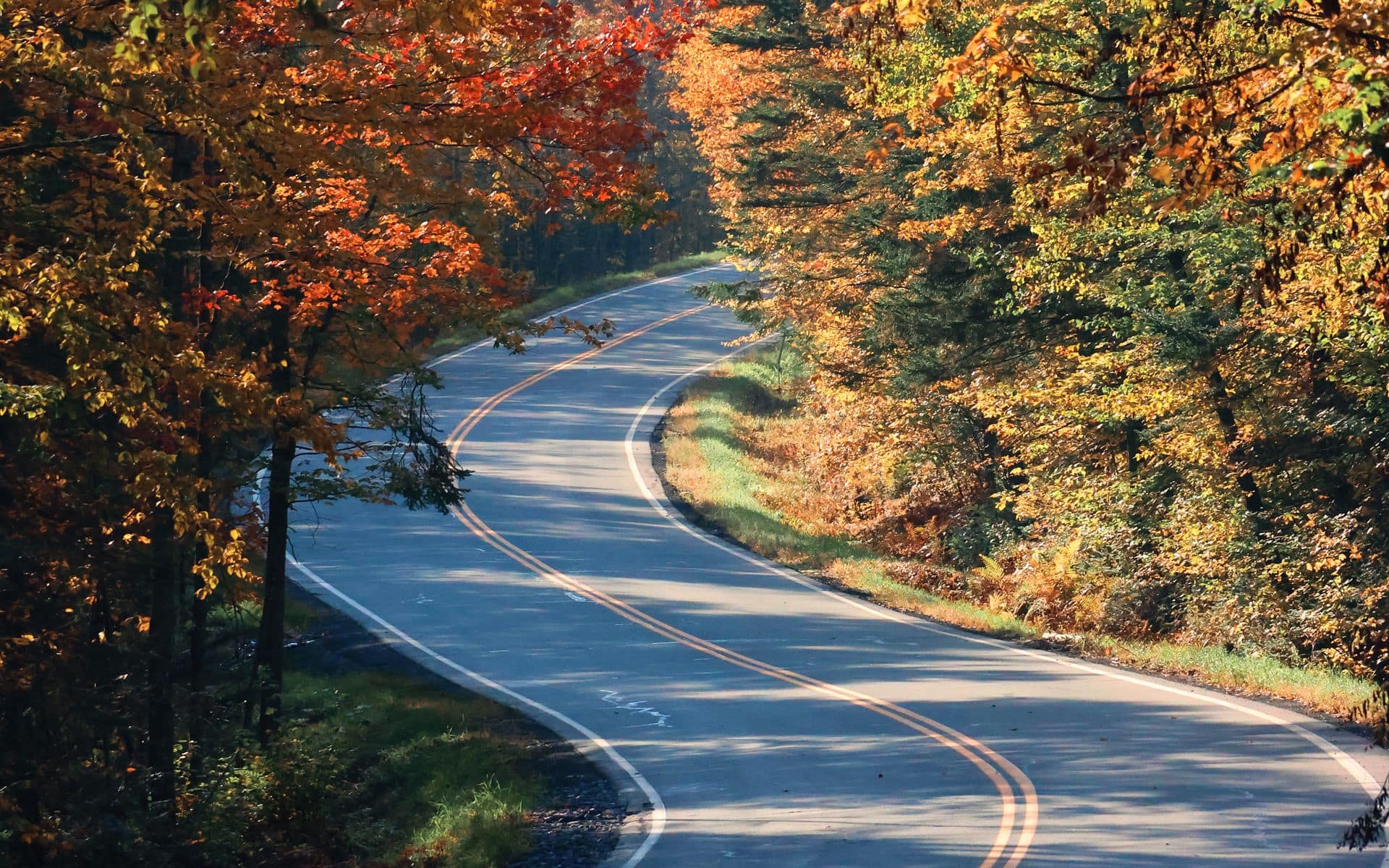Best Fall Foliage Drives in Vermont in Vermont