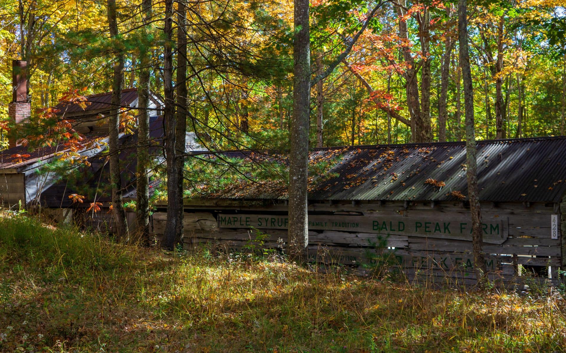 Best Maple Farms and Sugarhouses in Vermont in Vermont