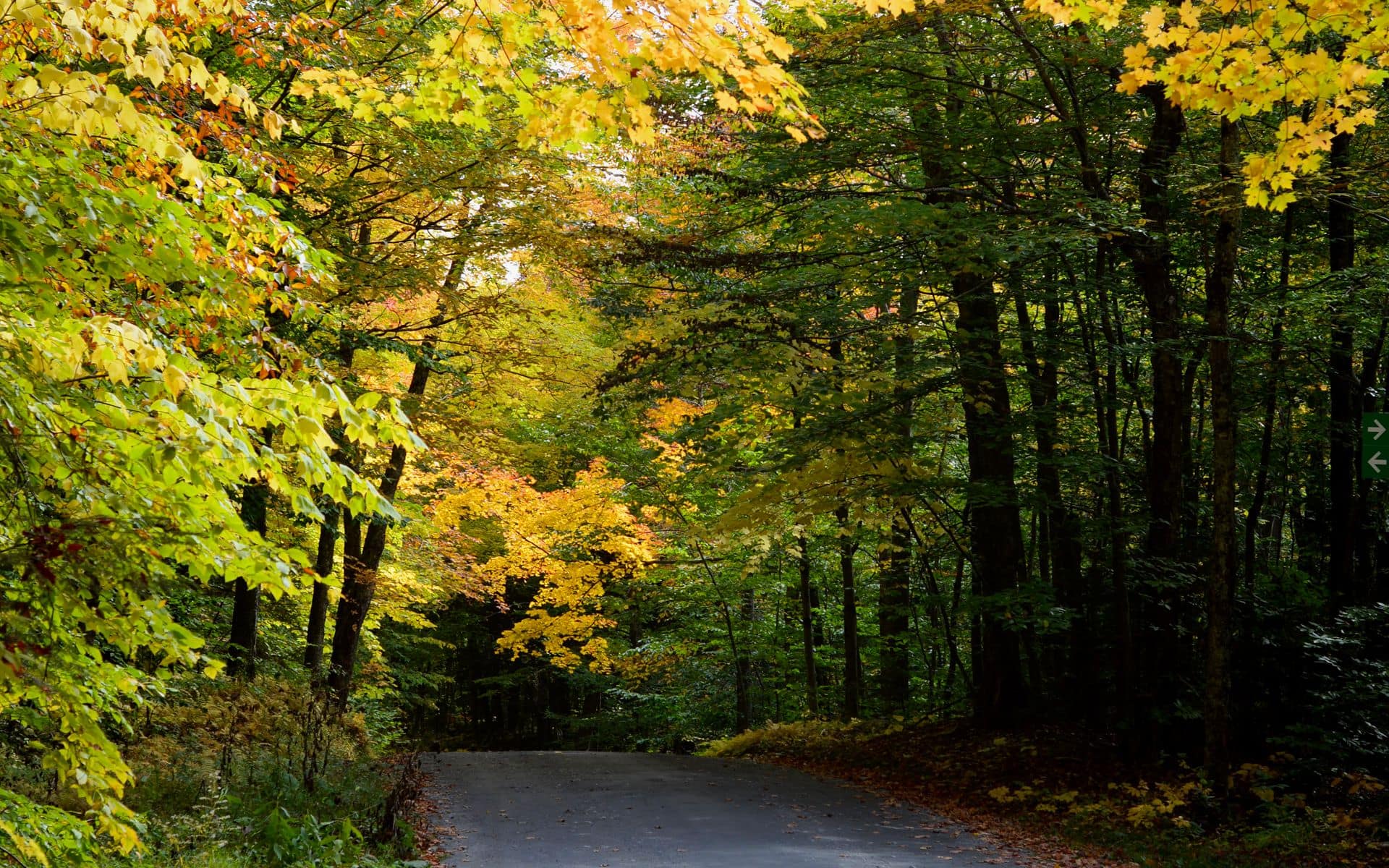 Best Scenic Drives in Vermont in Vermont