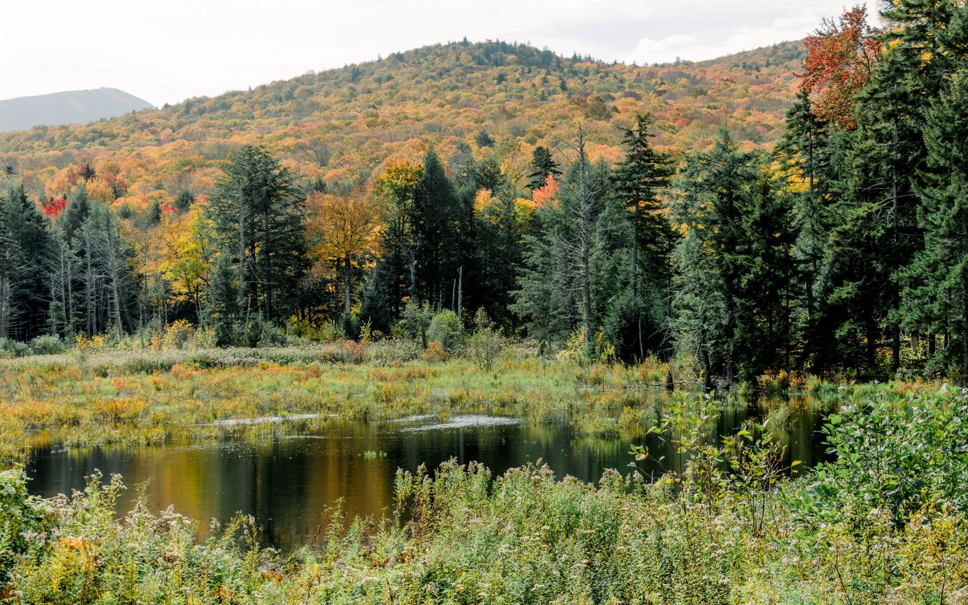 Vermont Travel Guide in Vermont