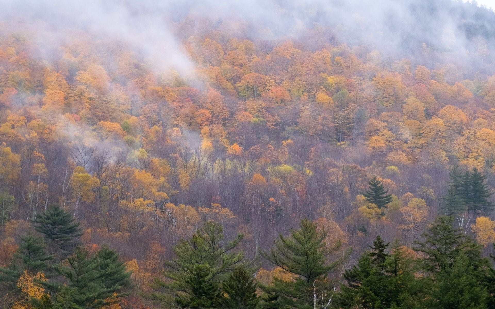 When to See Vermont Fall Foliage in Vermont