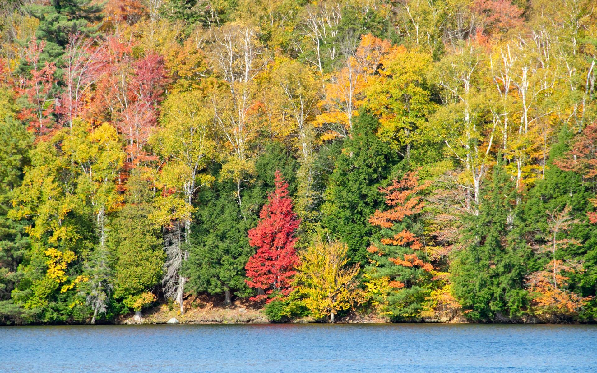 Vermont Trip Cost and Budget in Vermont
