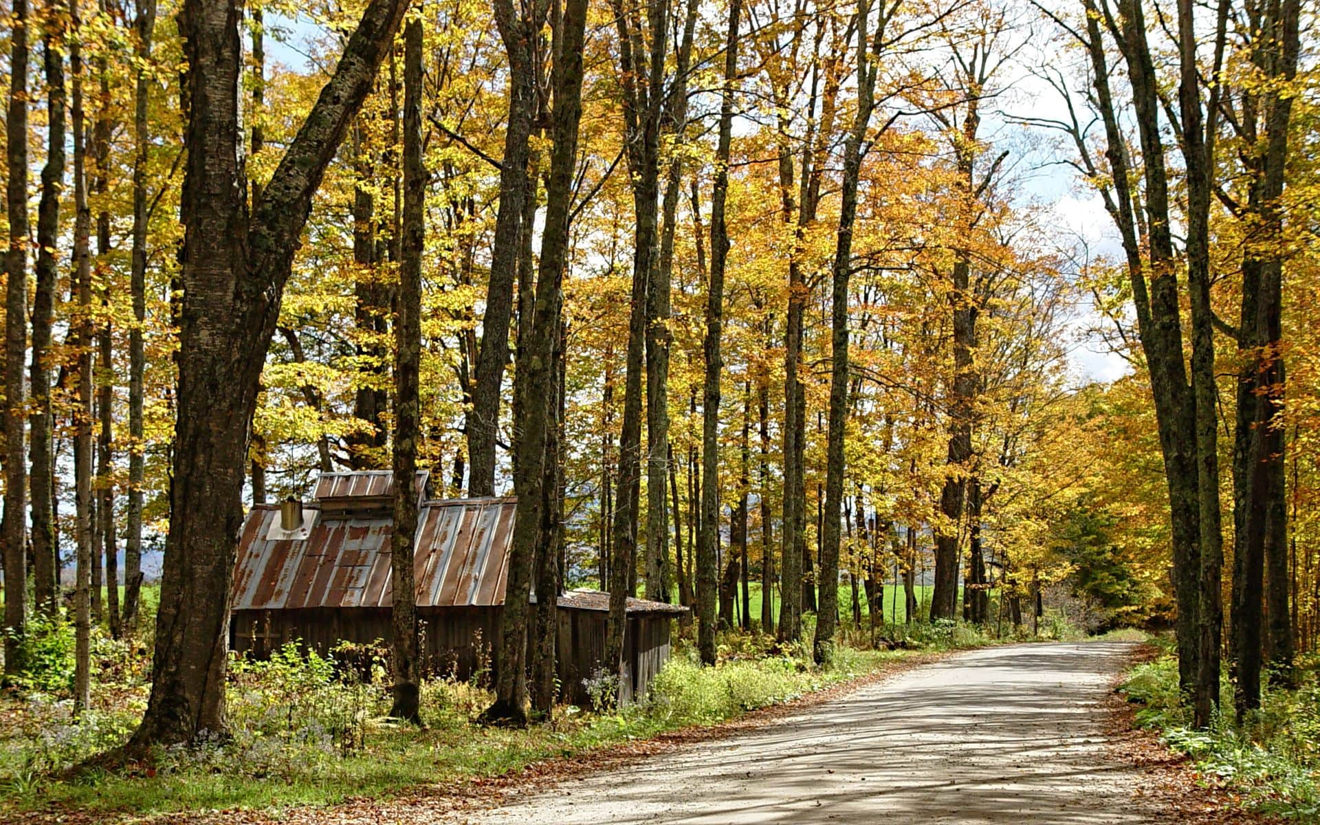 Central Vermont in Vermont