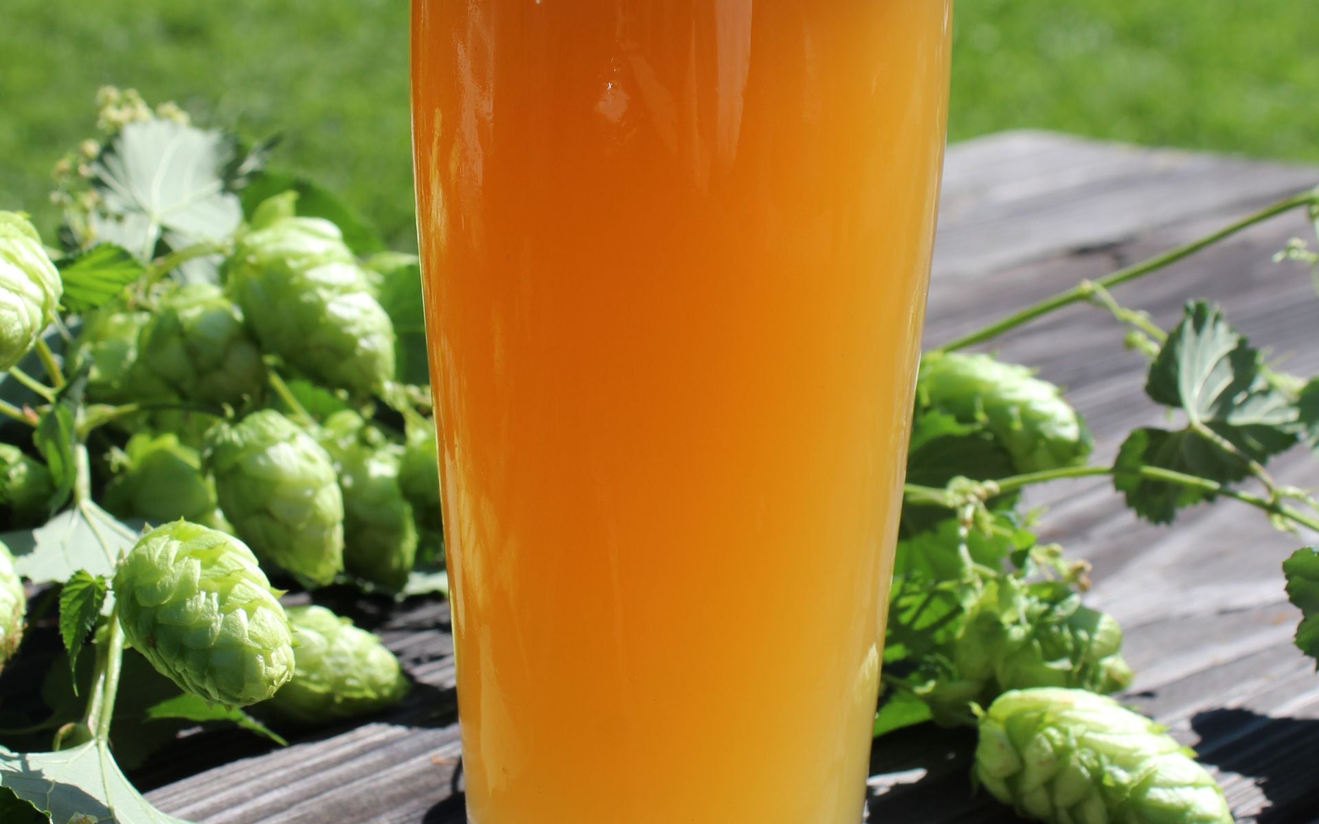 Breweries and Cideries in Vermont
